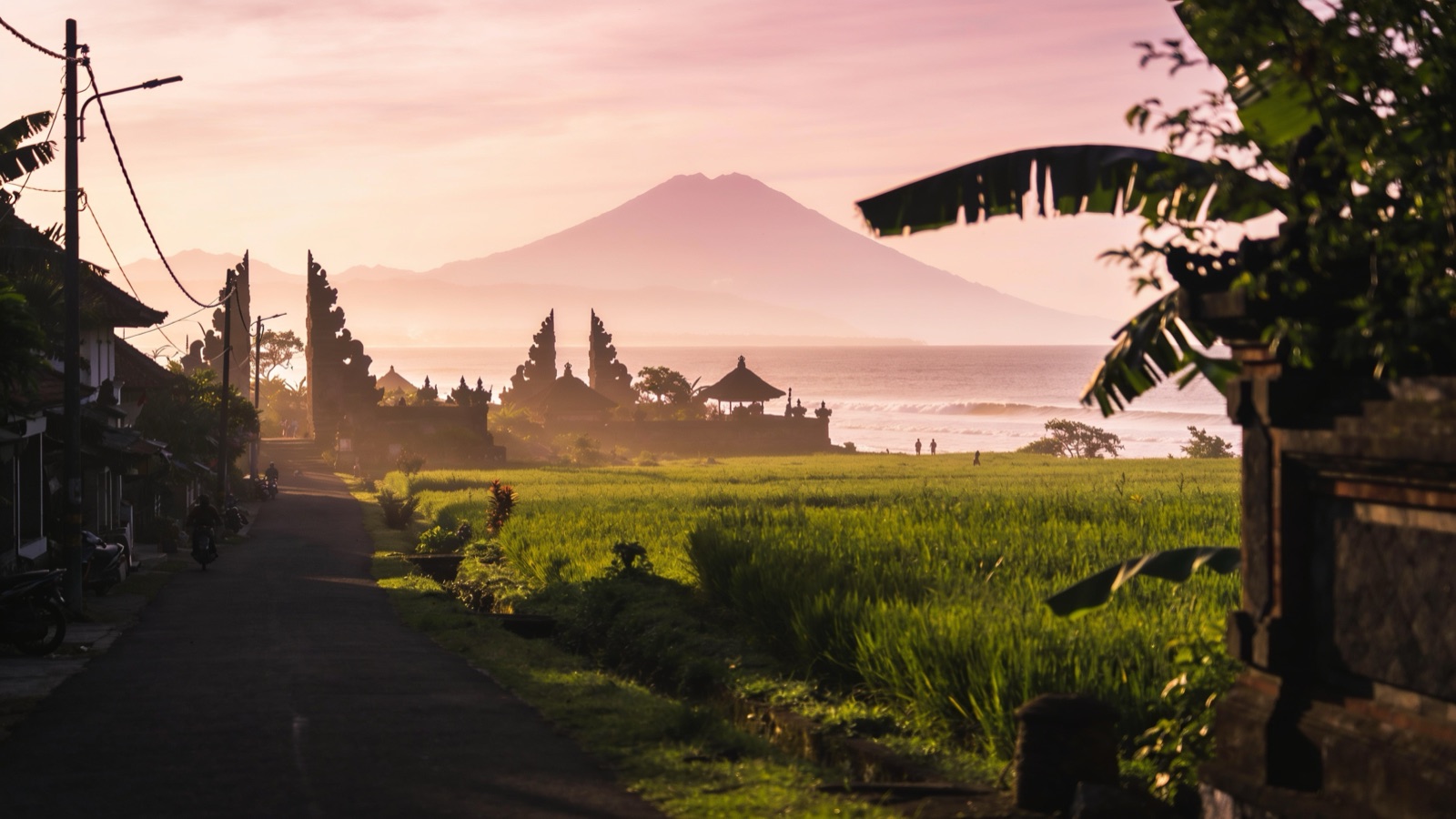 Info Kost Harian Jogja, Bebas dan Elit Cocok untuk Staycation